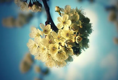 ​迷人造句,用迷人怎么造句