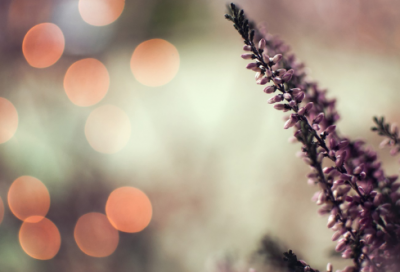 ​堪造句,用堪怎么造句