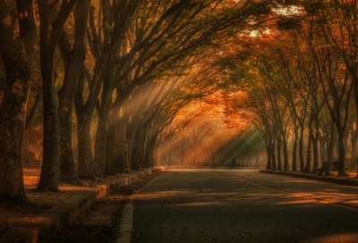 ​问题是造句,用问题是怎么造句