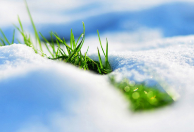 ​迎来造句,用迎来怎么造句