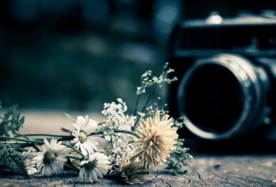 ​怀里造句,用怀里怎么造句