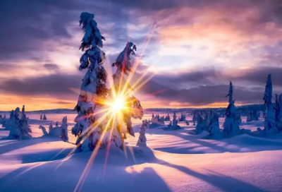 ​叼造句,用叼怎么造句