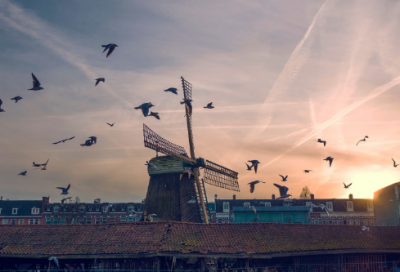 ​不满造句,用不满怎么造句