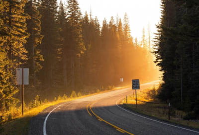 ​凉爽造句,用凉爽怎么造句