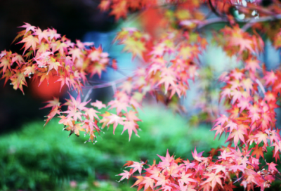 ​窍造句,用窍怎么造句