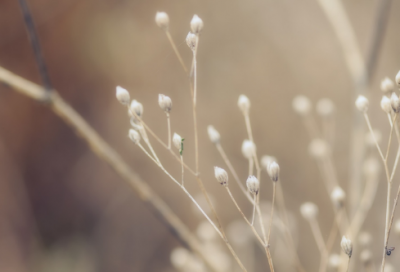 ​遥造句,用遥怎么造句