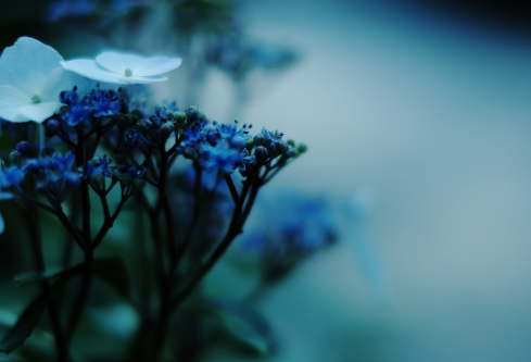 1695770520215877.png image.png