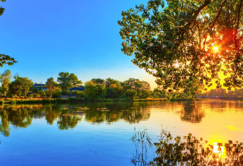 1695770852974191.png image.png