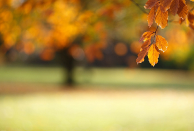 ​除了造句,用除了怎么造句