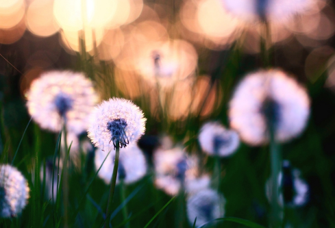 1695771349893501.png image.png