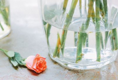 ​窥造句,用窥怎么造句