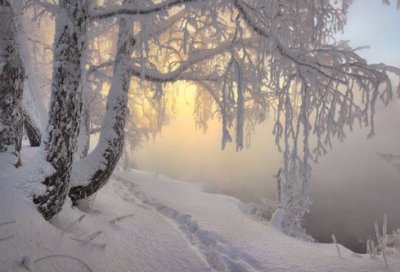 ​雄伟造句,用雄伟怎么造句