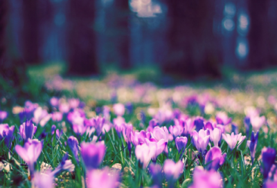 ​傍晚造句,用傍晚怎么造句