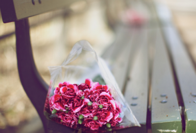 ​向导造句,用向导怎么造句