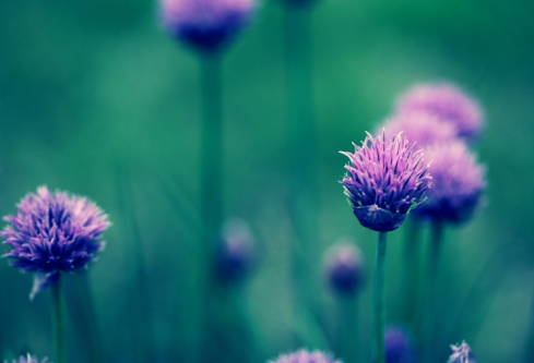 1695775329242225.png image.png