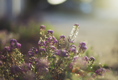 1695775661333104.png image.png