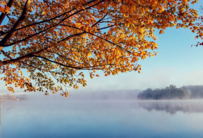 ​生为造句,用生为怎么造句