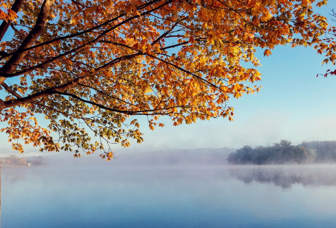 1695776159196619.png image.png