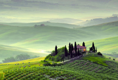 ​大功造句,用大功怎么造句