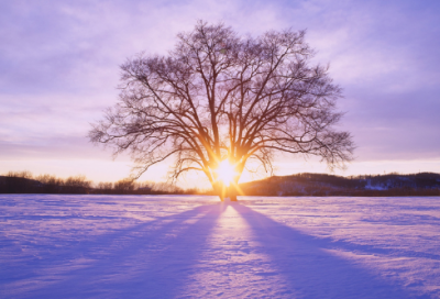 ​从小就造句,用从小就怎么造句