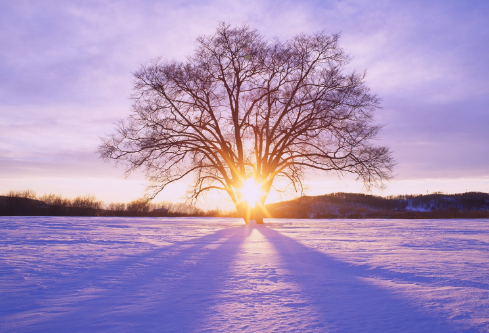 1695777319361001.png image.png