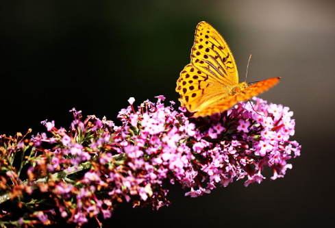 1695778148336285.png image.png