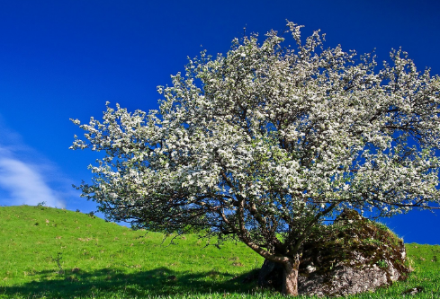 1695778314212077.png image.png