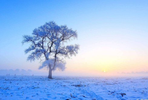 1695779807357896.png image.png