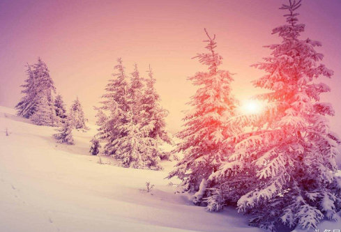 1695780637861333.png image.png