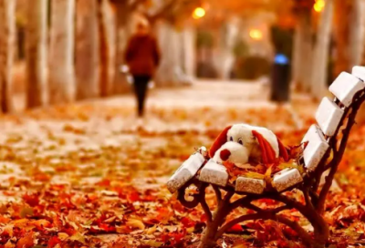 ​景色造句,用景色怎么造句