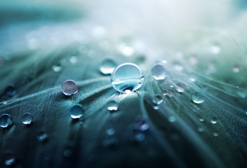 1695781299682924.png image.png