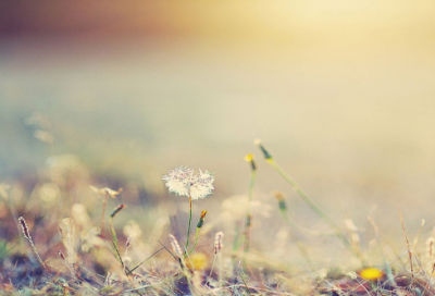 ​否则造句,用否则怎么造句