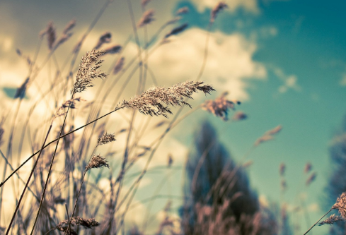 1695783290448974.png image.png