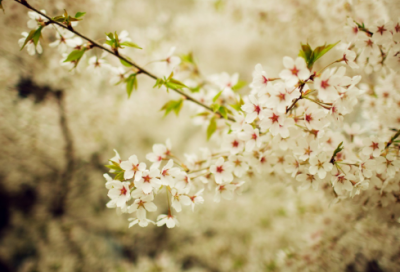 ​想出造句,用想出怎么造句