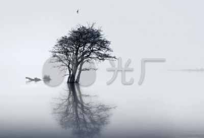 ​驹造句,用驹怎么造句