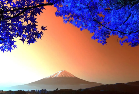 1695784914704778.png image.png