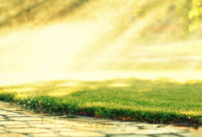 ​焕造句,用焕怎么造句