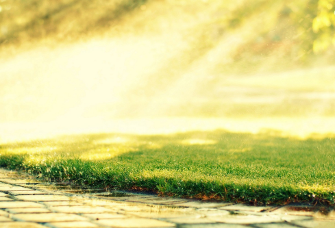 1695786910595025.png image.png