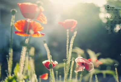 ​搀造句,用搀怎么造句