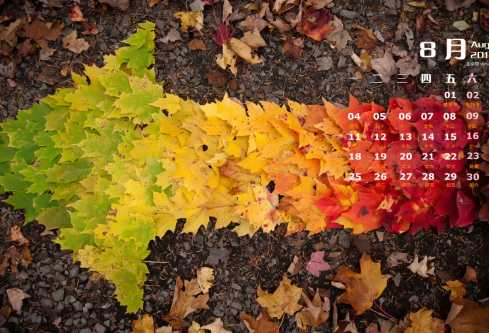 1695788073412531.png image.png