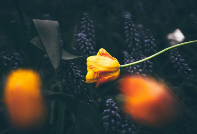 ​院里造句,用院里怎么造句