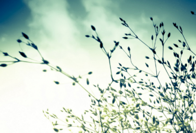 ​崎造句,用崎怎么造句