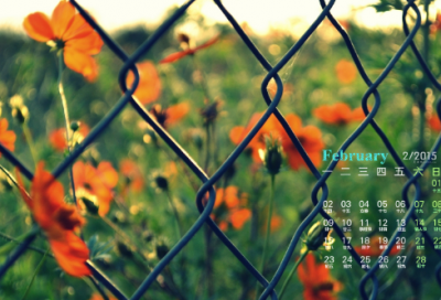 ​退出造句,用退出怎么造句