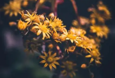 ​赫造句,用赫怎么造句