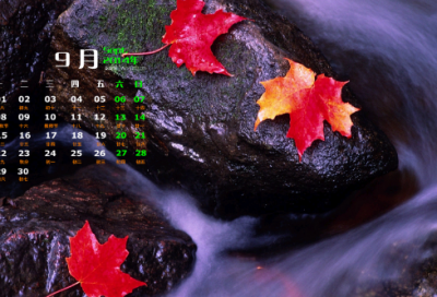 ​王顾左右而言他造句,用王顾左右而言他怎么造句