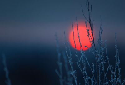 ​颖造句,用颖怎么造句