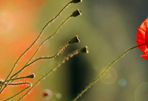 1695790730387485.png image.png