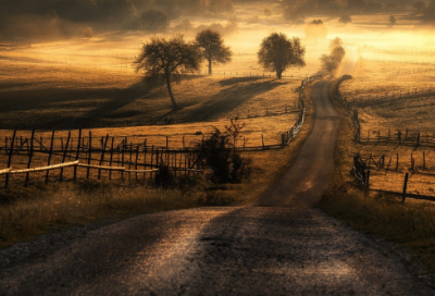 ​光荣造句,用光荣怎么造句