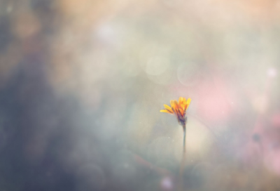 ​周围造句,用周围怎么造句