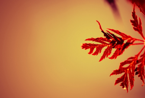 1695792722118726.png image.png